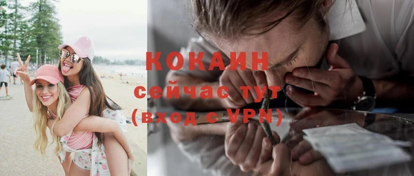 индика Алексин