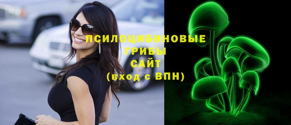 индика Алексин