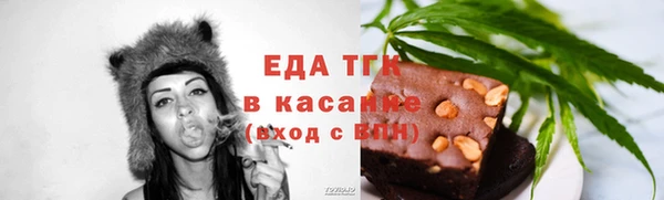 индика Алексин