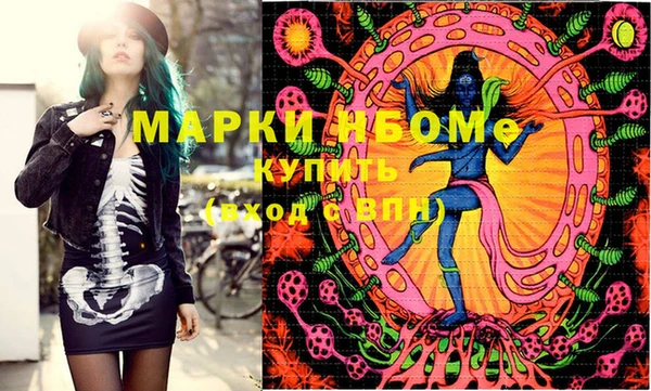 индика Алексин