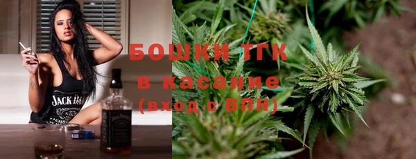 индика Алексин