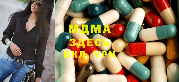 индика Алексин