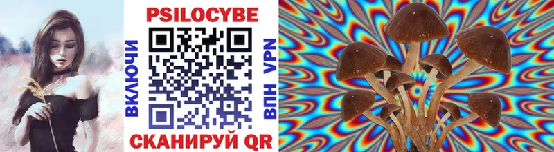 Псилоцибиновые грибы Cubensis  Ревда 
